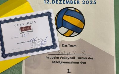 Oberstufen-Volleyballturnier 2025
