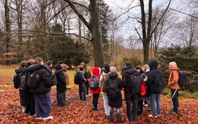 Leben im Boden – Jahrgang 8 im Rombergpark